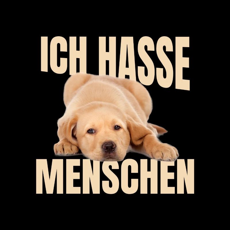 Labrador Meme