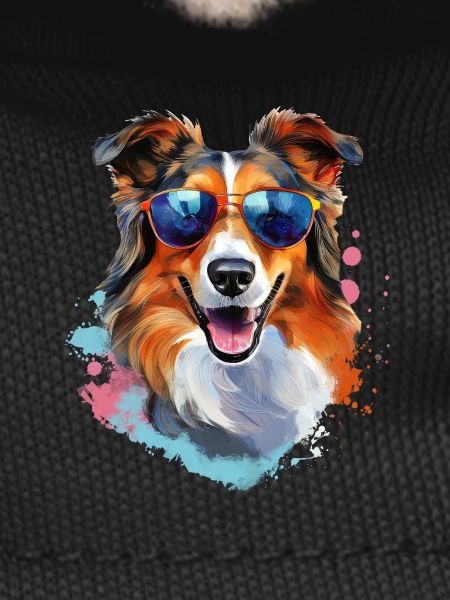 Collie mit Sonnenbrille