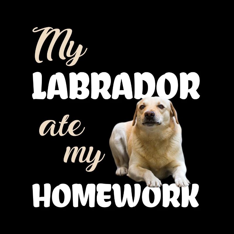 Labrador Homework