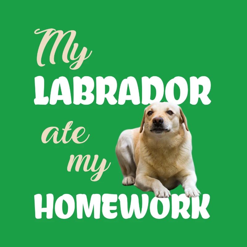 Labrador Homework