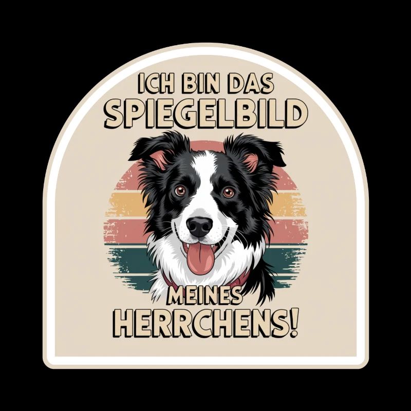 Border Collie chien reflet de mon maître