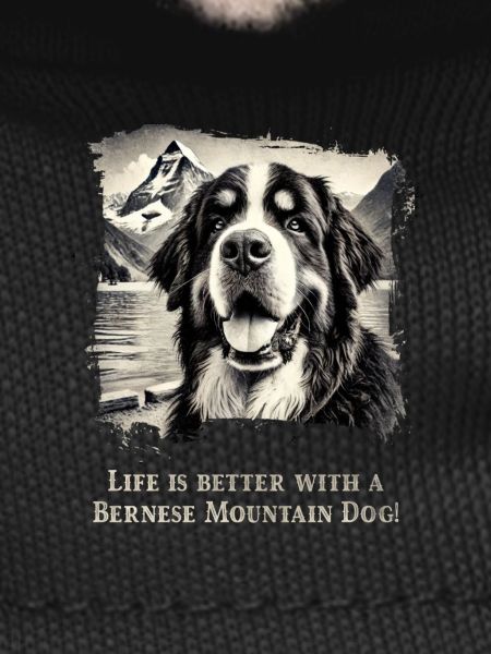 Bouvier bernois