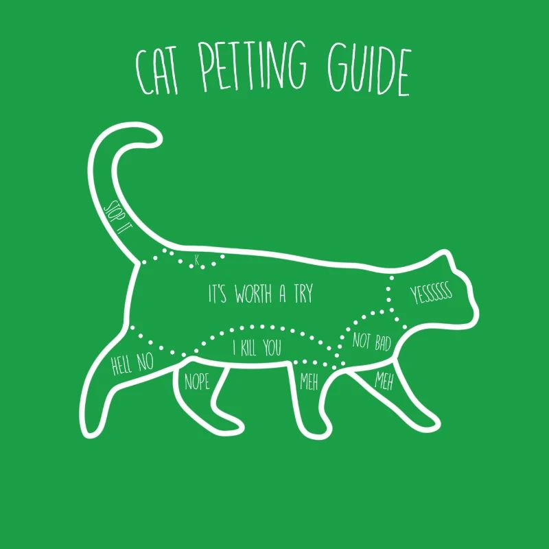 Cat Petting Guide