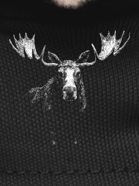 Elk