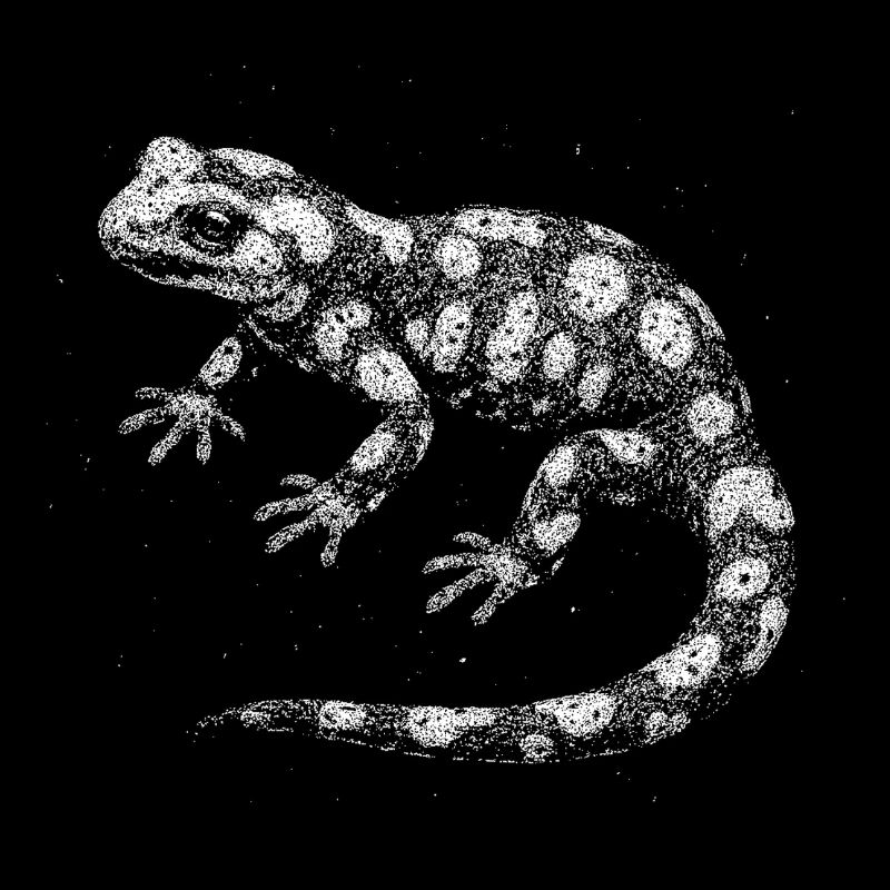 Salamandre de feu