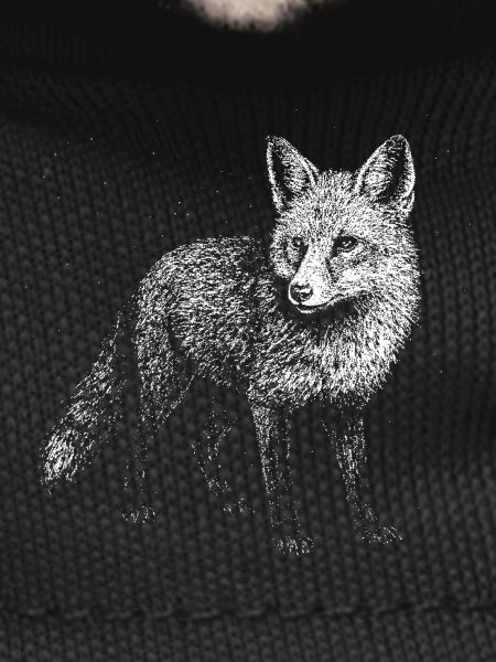 A fox