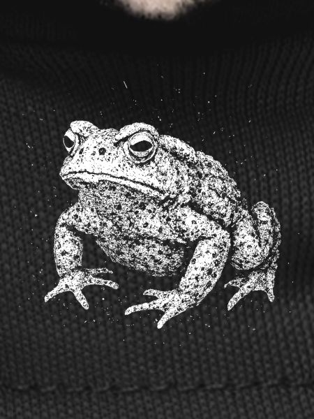 Crapaud