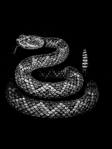 Snake