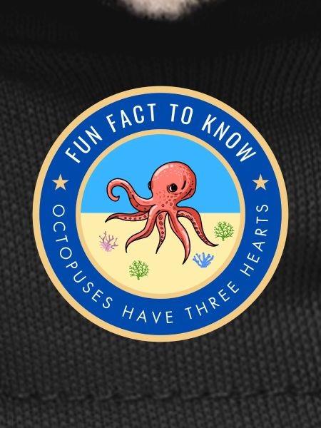 Octopuses have three hearts