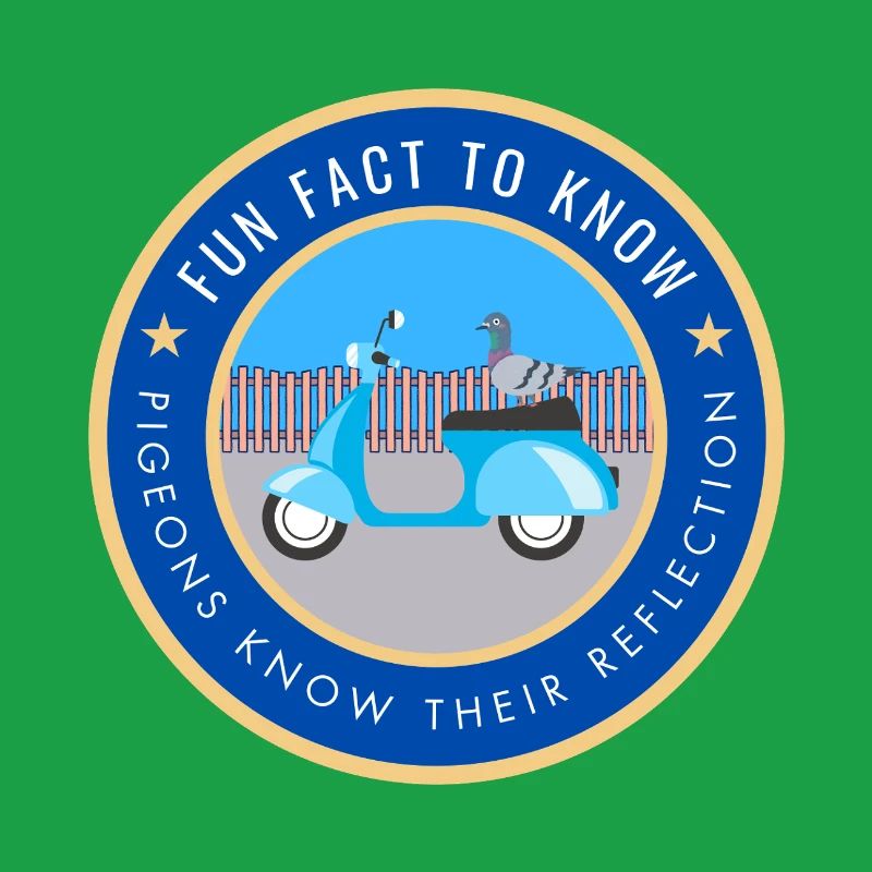 Pigeons know their reflection