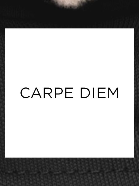 Carpe Diem Motivational Quote