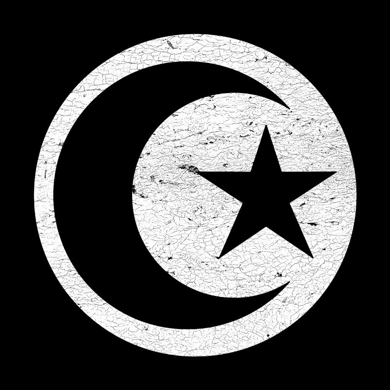Crescent and star islam white circle