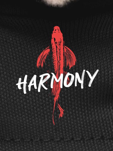 Koi Fish Energetic Harmony