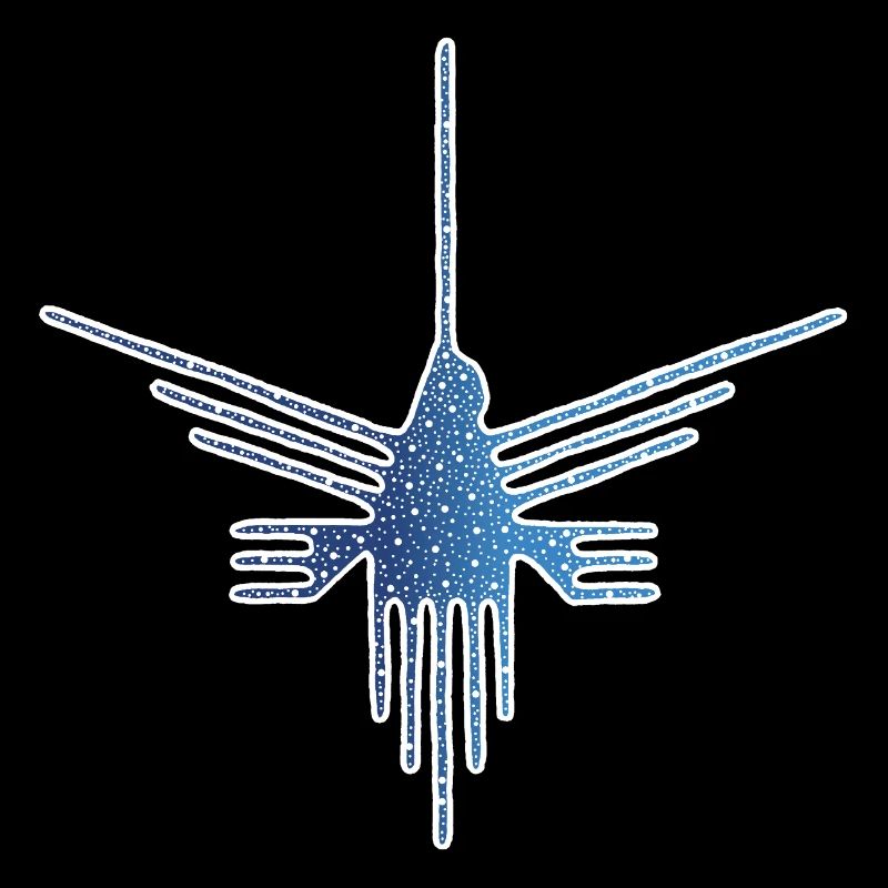 Nazca Bird on Starry Background
