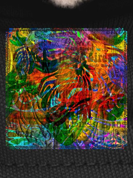 Mots & Oiseaux V2