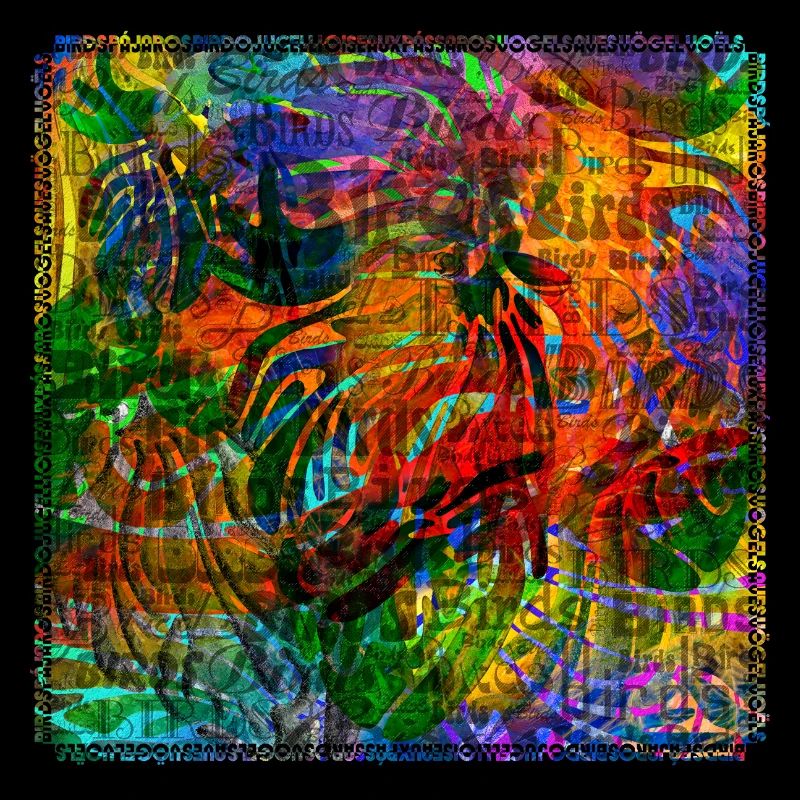 Words & Birds V2