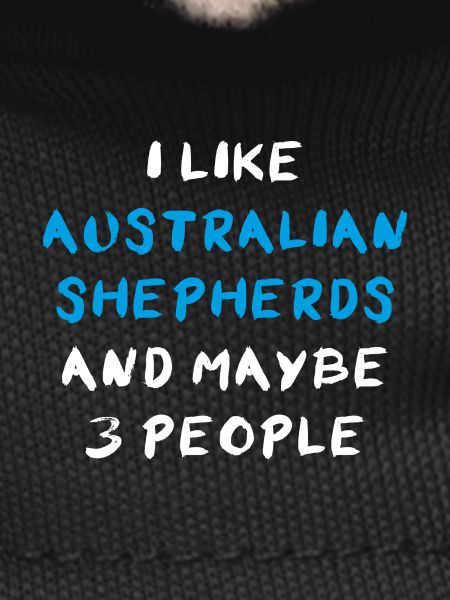 Australian Shepherd