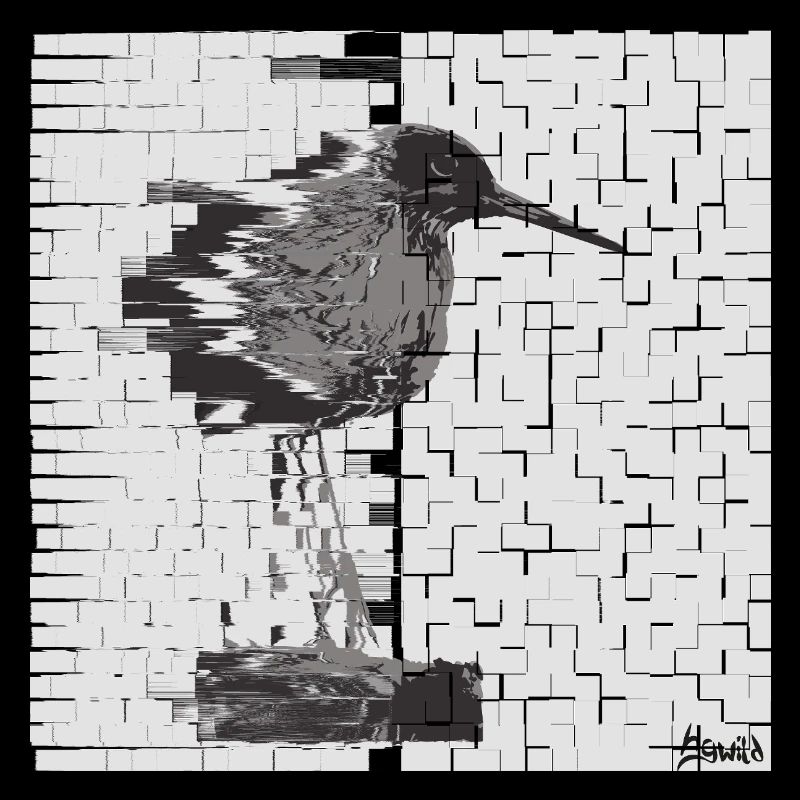 Redshank (Tringa totanus) Glitch Noir