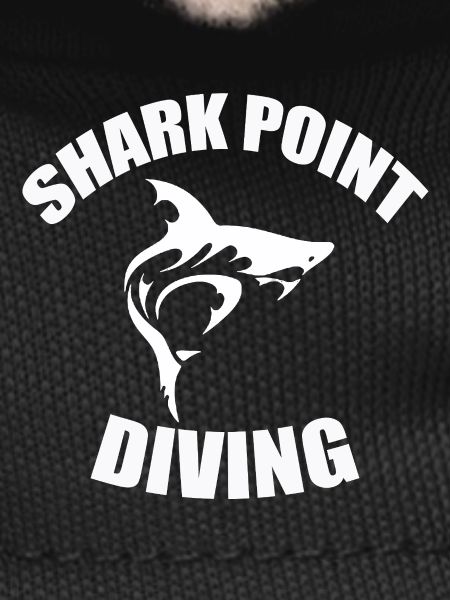 PLONGÉE À SHARK POINT