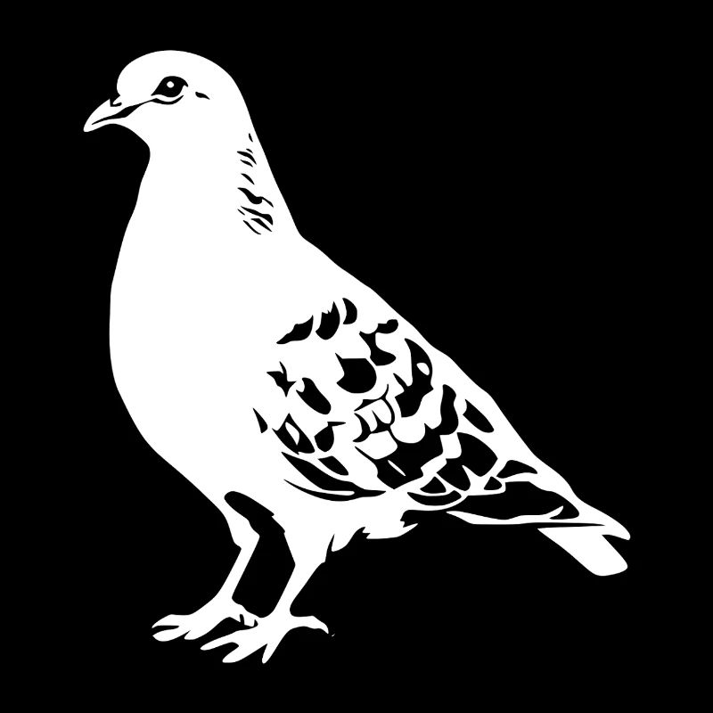 Dessin de colombe