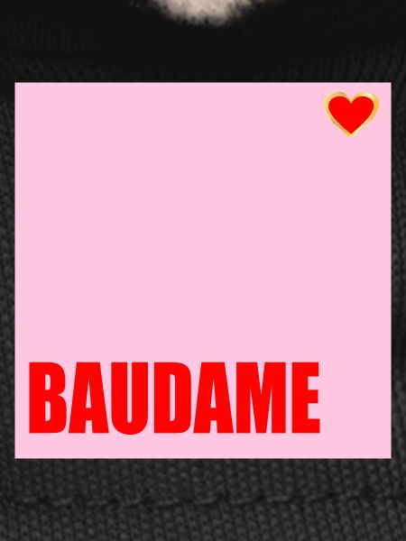 CLIENT BAUDAME HAUSBAU HERZ