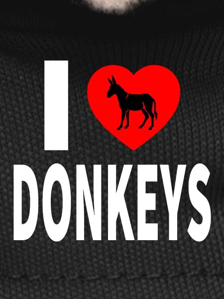 donkey