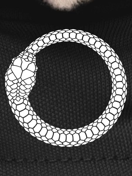 Ouroboros Snake Ring Circle