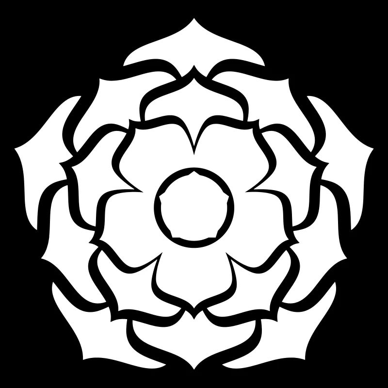 Lotus Mandala Bloom