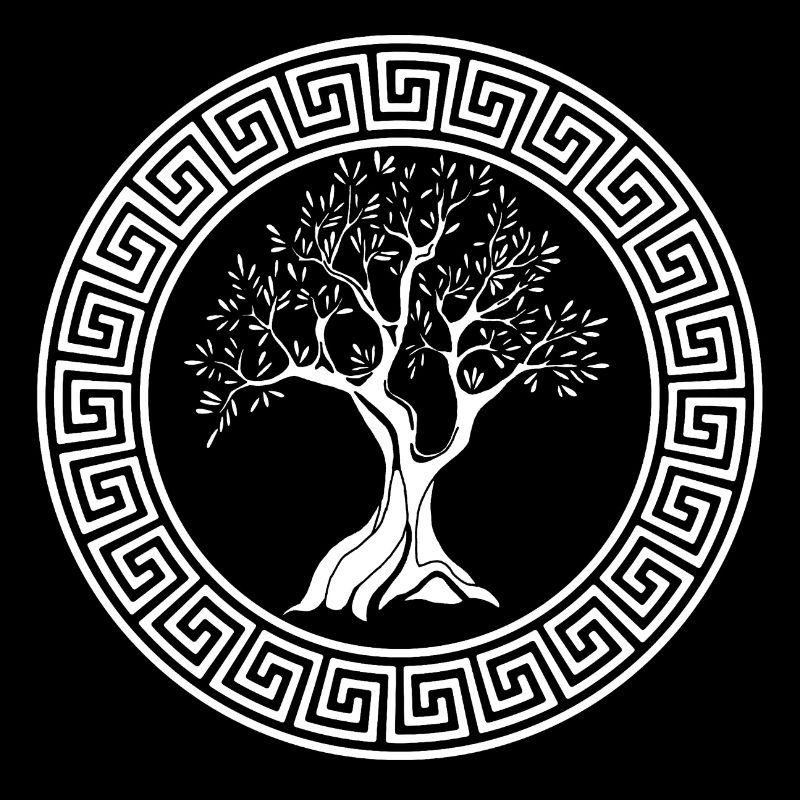 Ancient symbol of the white olive tree