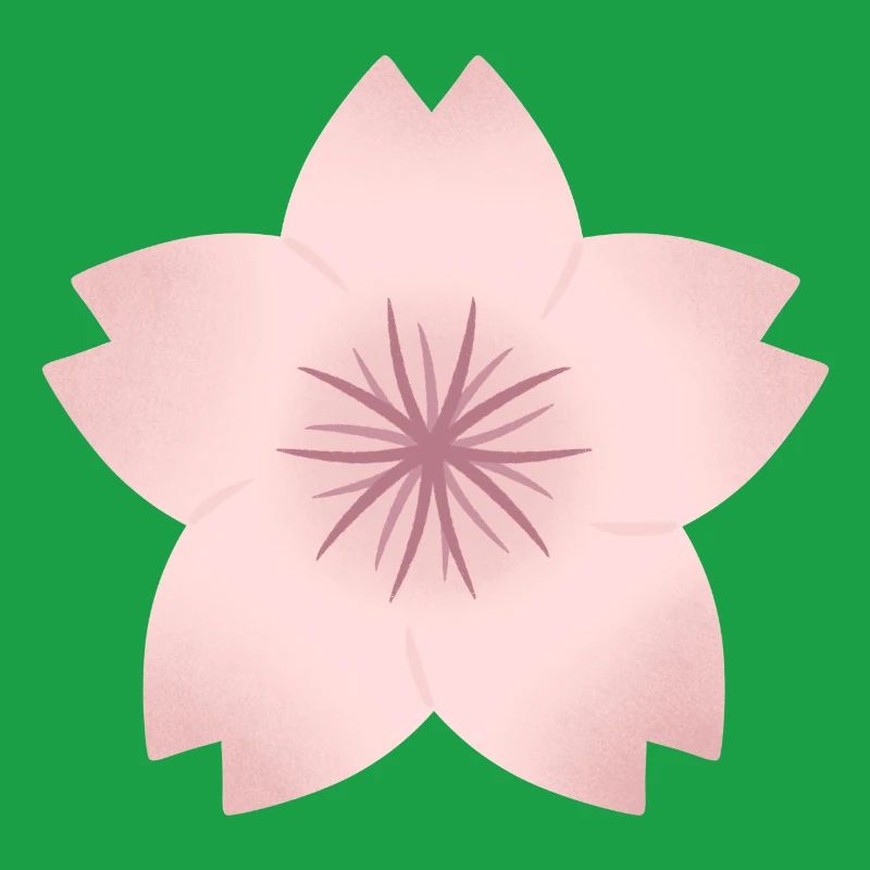 Blush Cherry Bloom