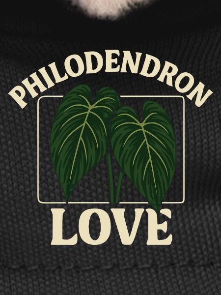 Philodendron Love