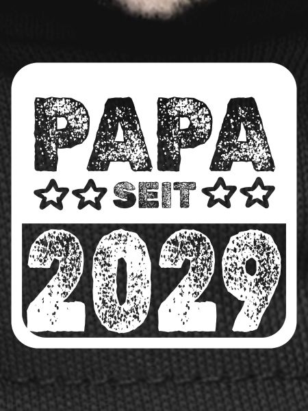 since 2029