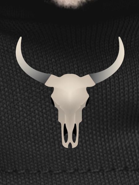 Buffalo Skull