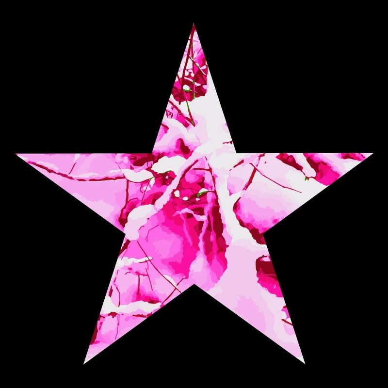 Star Winter Snow
