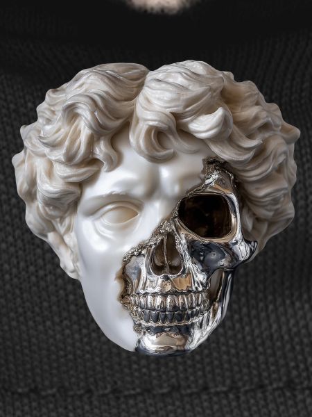 Classic meets steel skull