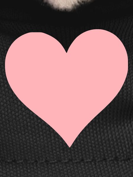 Saint-Valentin Cœur Rose, St.valentin