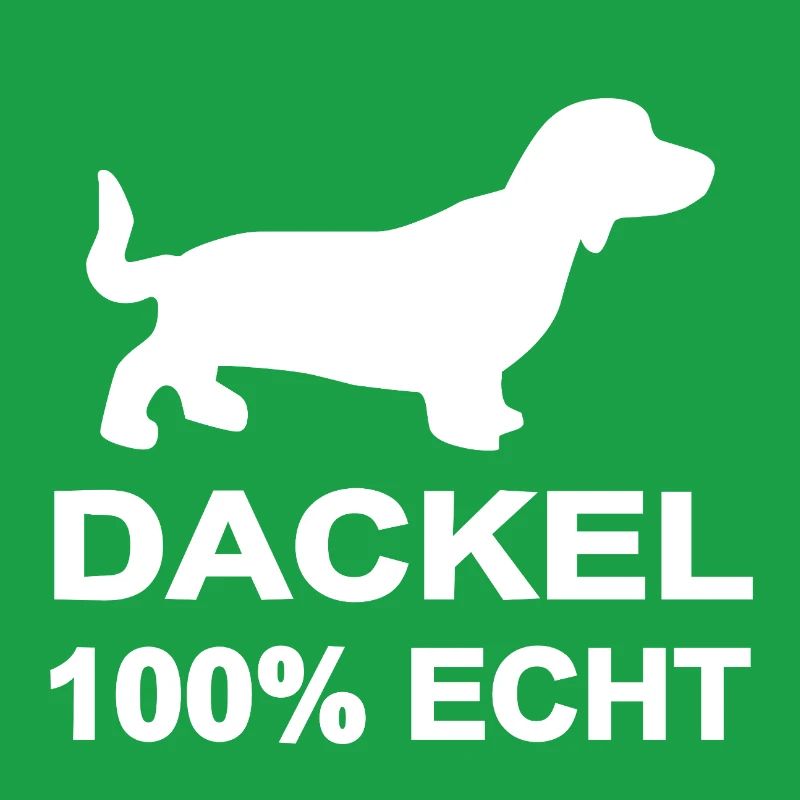 Dachshund