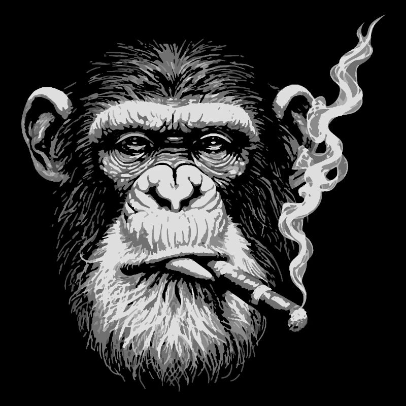 Chimp Smoking Portrait