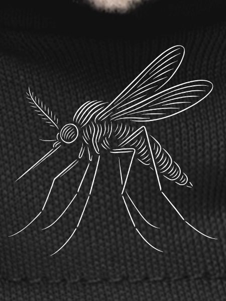 Line Mosquito Sketch Art