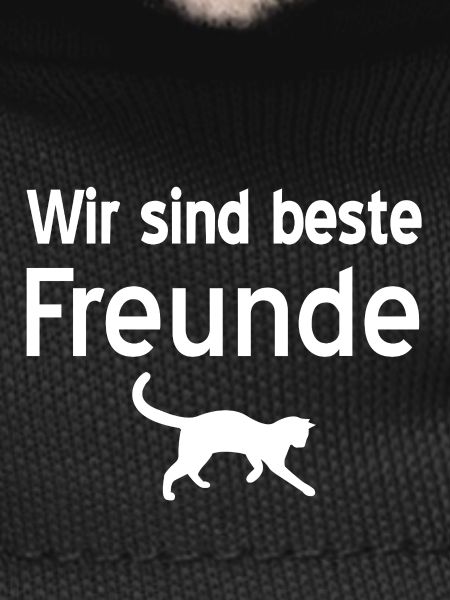 feline
