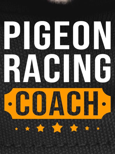 Course de pigeons Pigeons