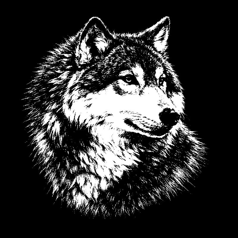 Wolf – Grafik mit weißem Bleistift