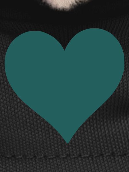 coeur bleu
