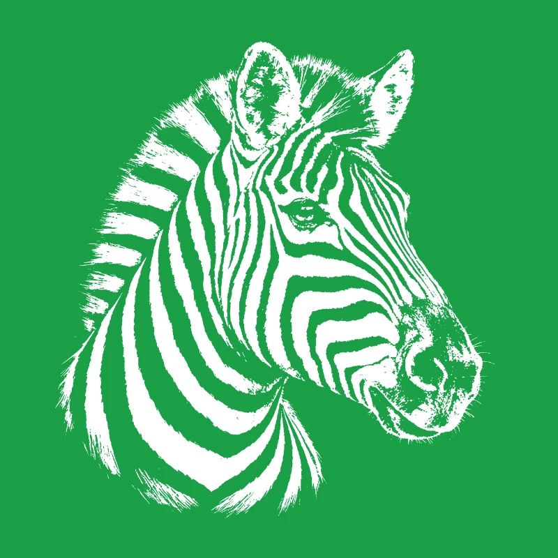Zebra – black and white graphic with a zebra