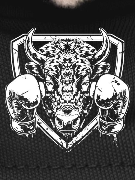 Bison Boxing MMA