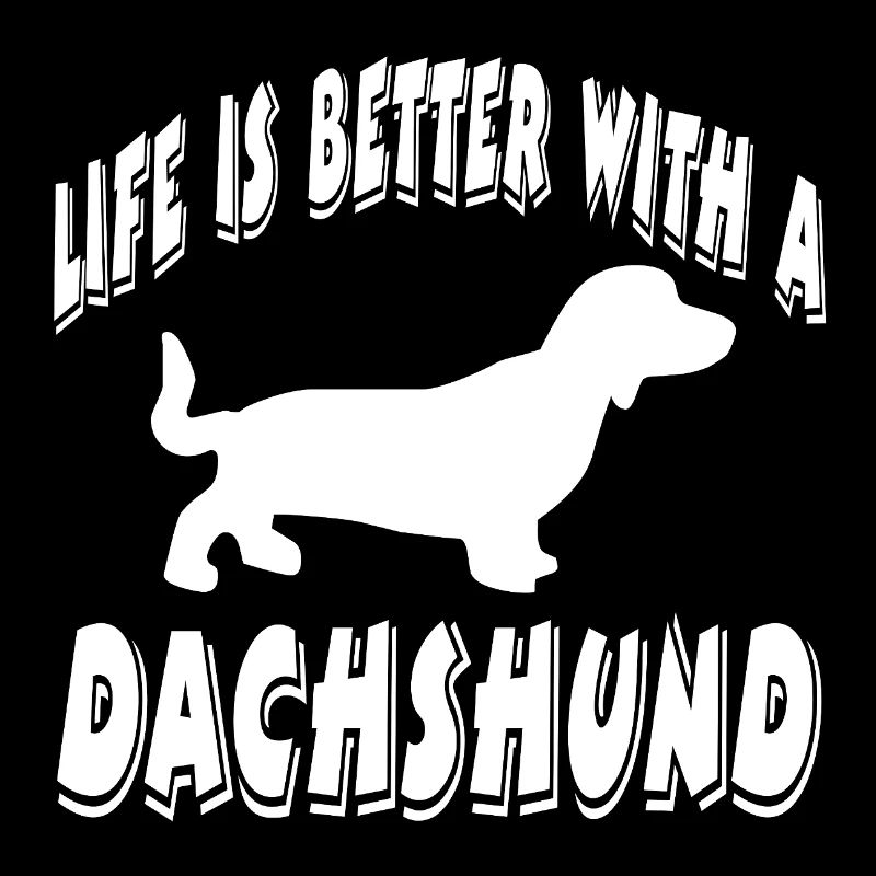 Dachshund