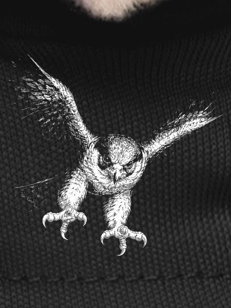 peregrine falcon