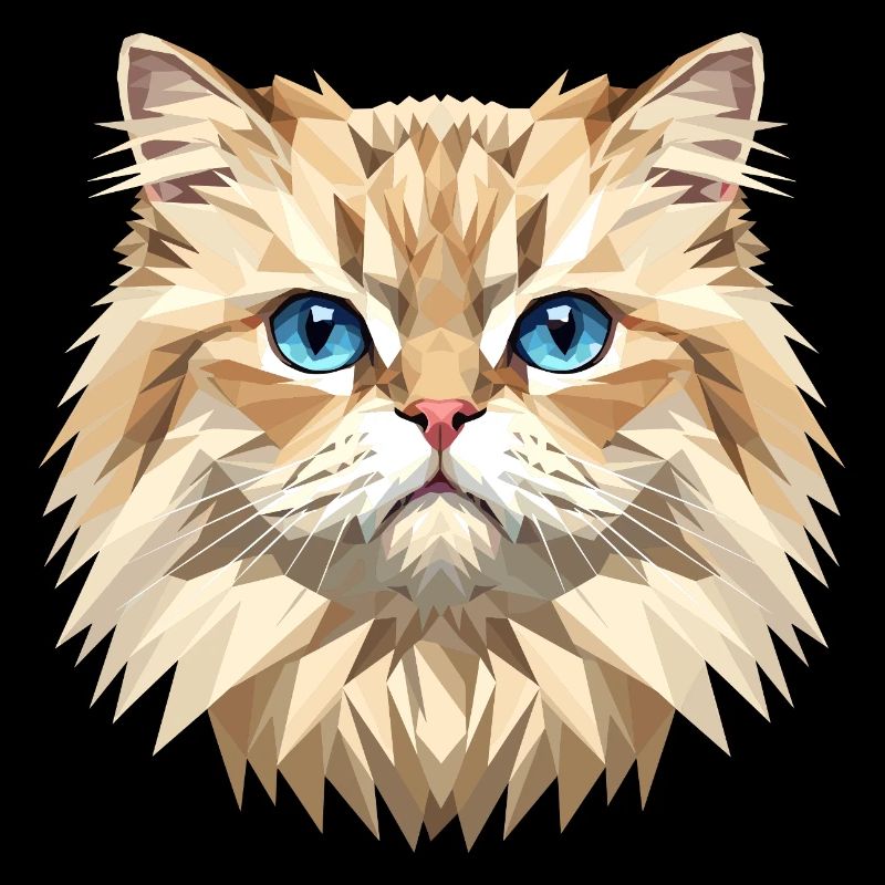Chat perse Chat persan Chat persan Chat perse Chats mignons