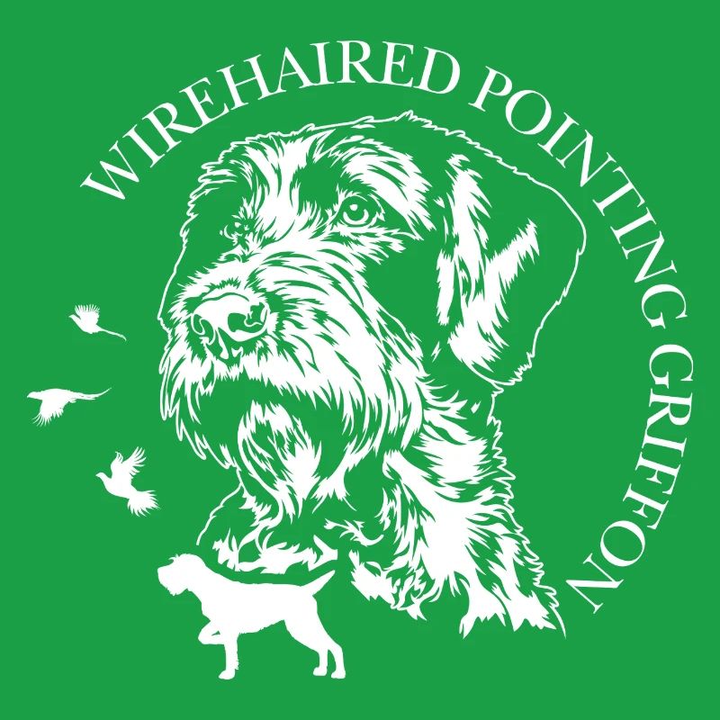 Wirehaired Pointing Griffon Jagdhunde Wilsigns 
