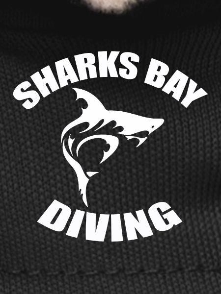 PLONGÉE À SHARKS BAY